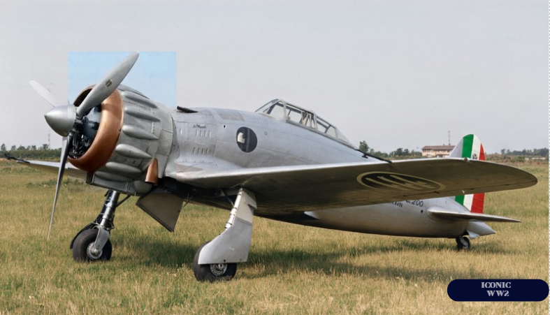 Macchi "MC.200 Saetta", Fighter