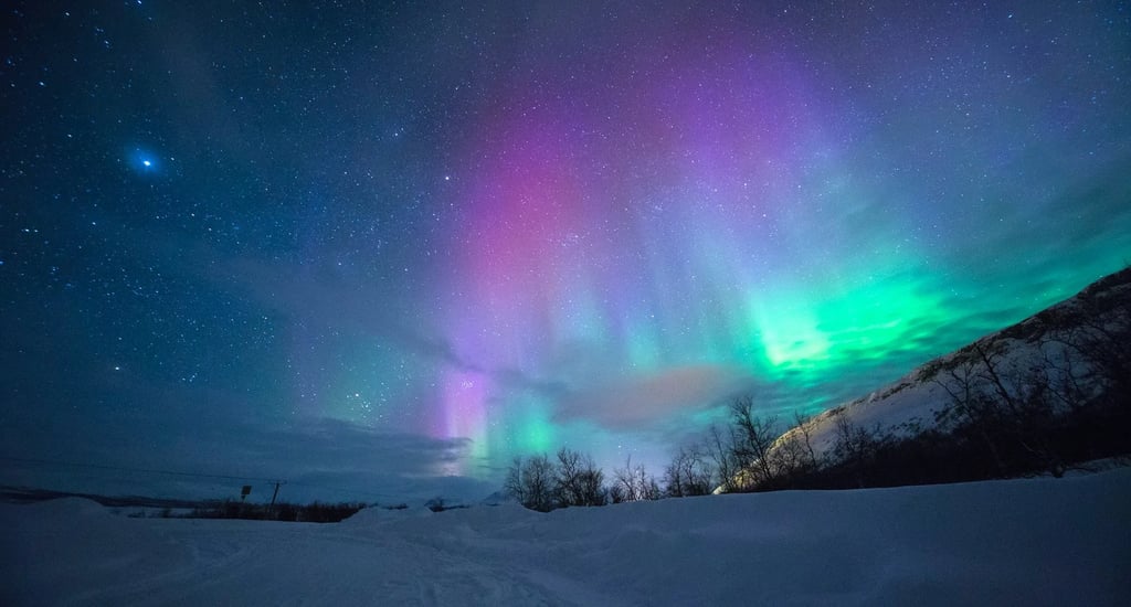 Fairbanks, AK - Aurora Borealis Lights, Glaciers, Denali, and Giants of the Animal Kingdom
