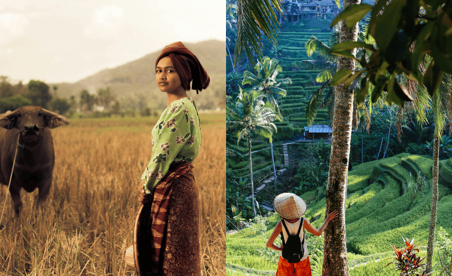 Beautiful Countryside in Indonesia which is similar to Sri Lanka