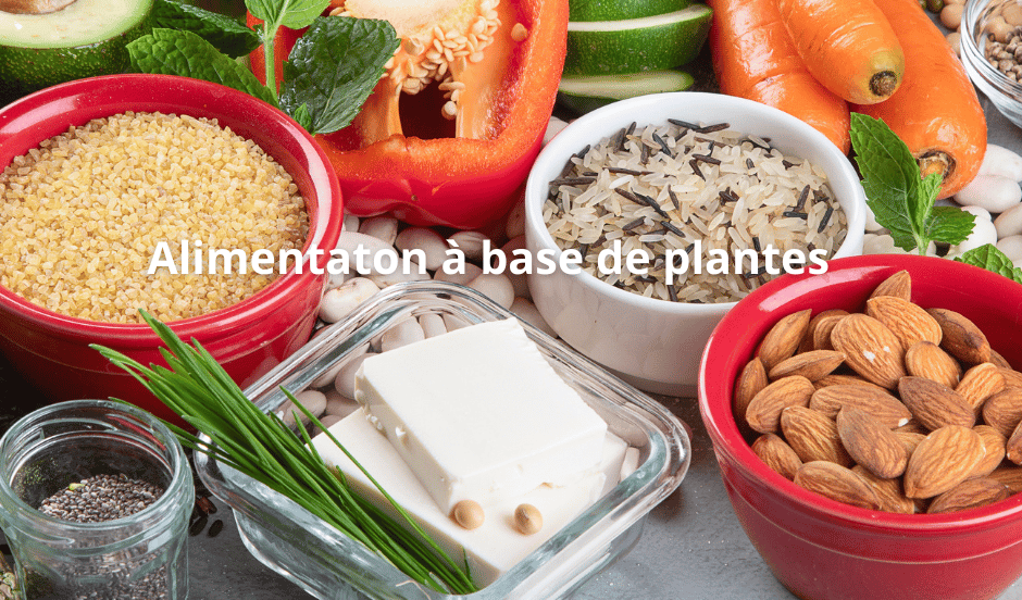 Alimentation à base de plantes
