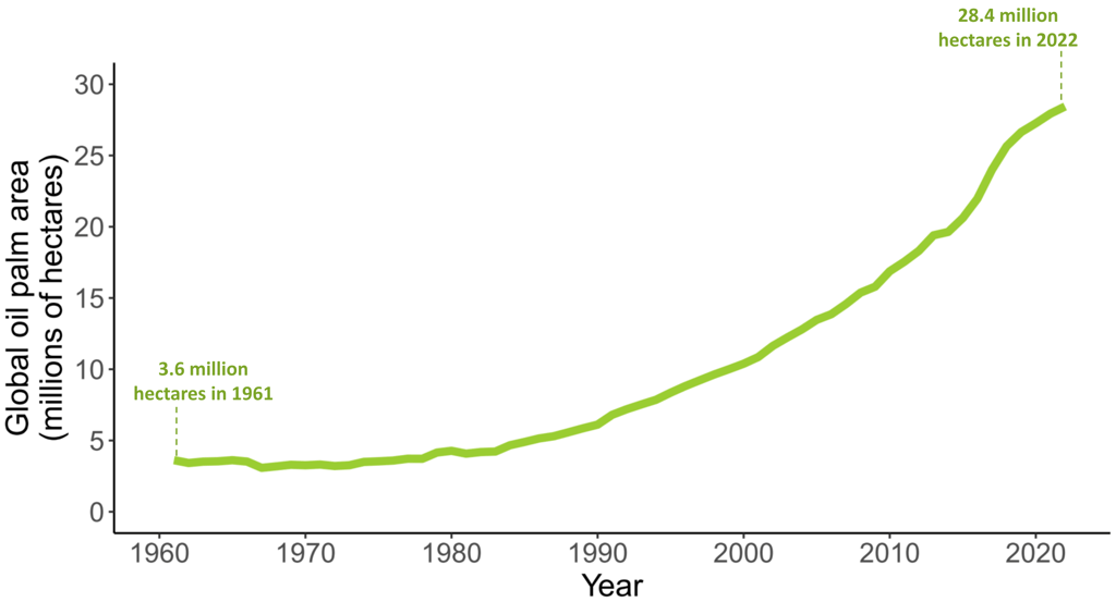 Evolution of global oil palm area since 1961