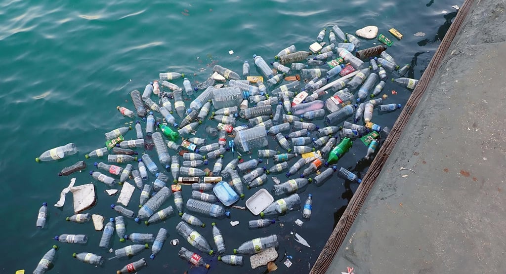 The Ocean’s Silent Crisis: Unraveling the Truth About Plastic Pollution and Its Global Impact