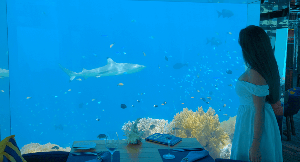 best underwater restaurants in the Maldives