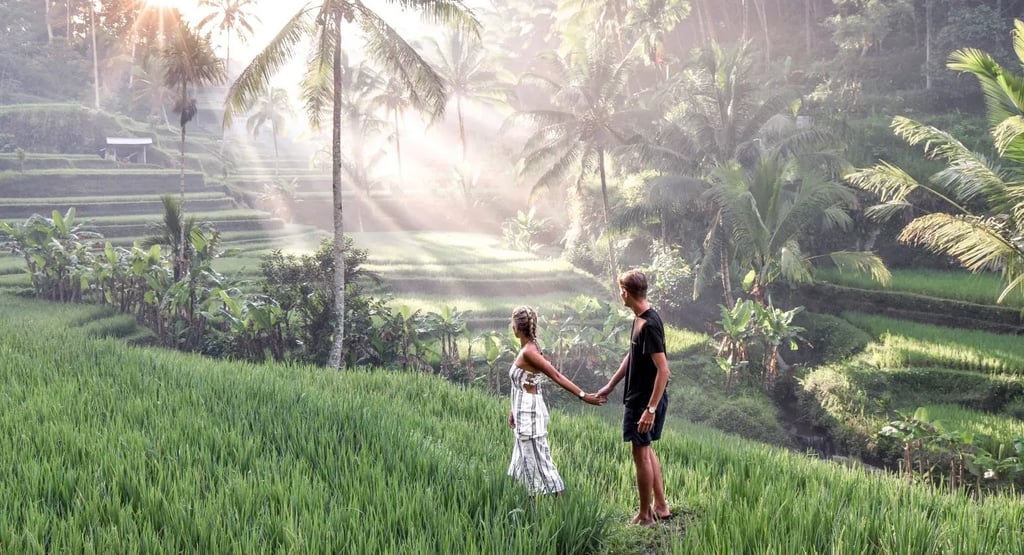 Rice Terrace - Ubud - Tegalalang