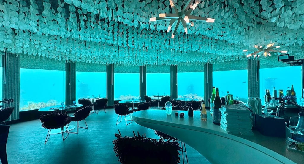 niyama maldives subsix underwater restaurant