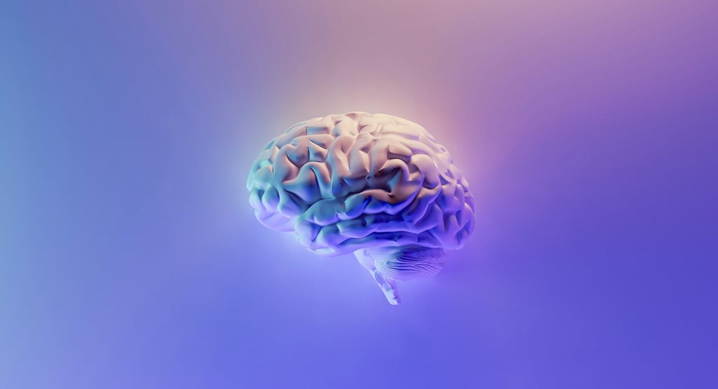 The Neuroscience of Happiness: Unlocking How Your Brain Creates Joy
