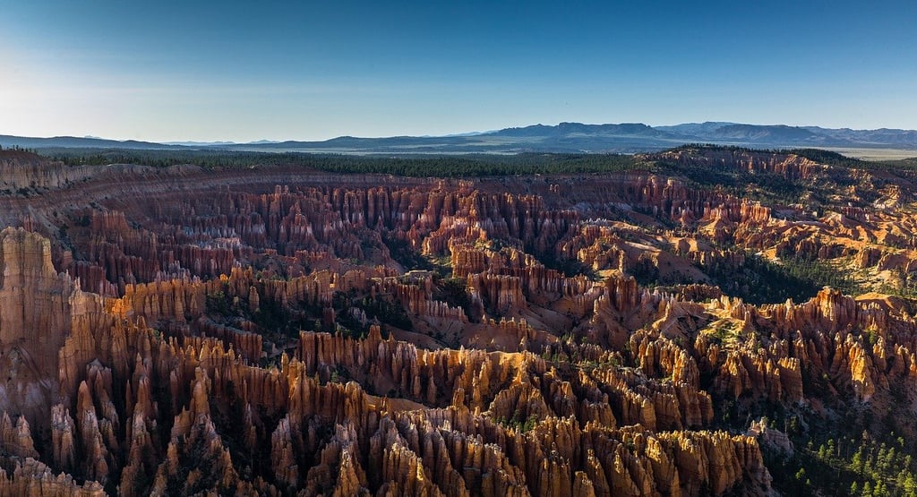Rewilding the Earth: How Rewilding Projects Are Restoring Nature’s Balance and Healing the Planet