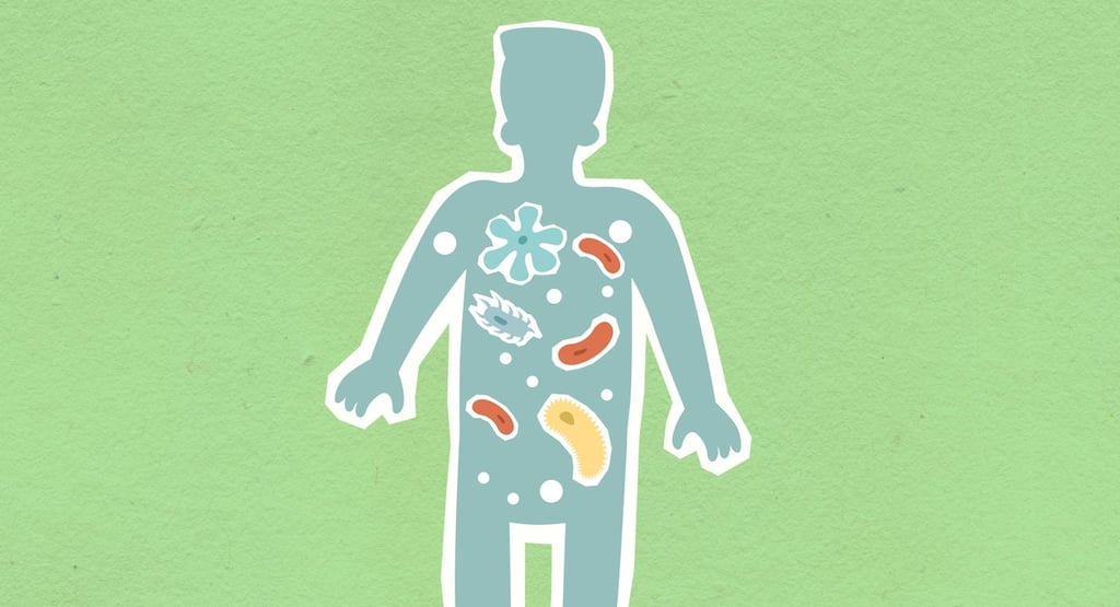 The Microbiome Revolution: How Your Gut Became the Body’s Second Brain