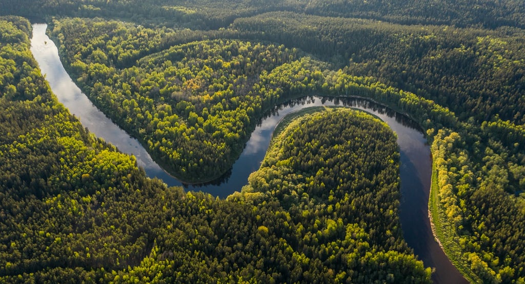 The Amazon Rainforest: Nature’s Beating Heart in Peril — Why Its Survival Determines Our Planet’s Fu