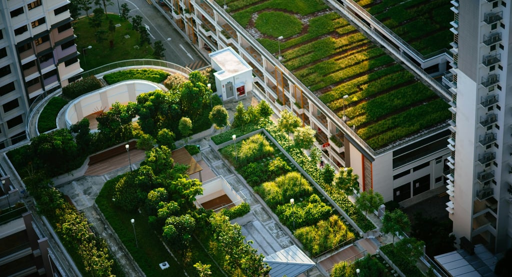 Urban Gardens: How Green Spaces Are Transforming City Ecosystems