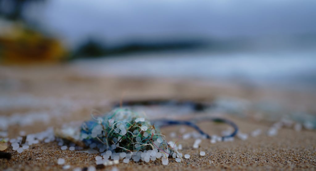 Invisible Invaders: How Microplastics Are Silently Poisoning Our Food Chain