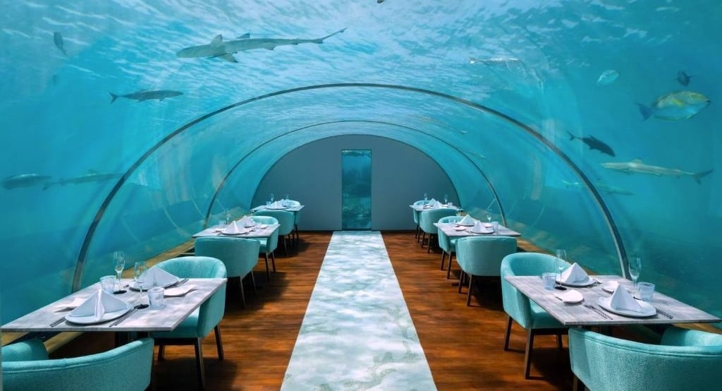 conrad maldives ithaa undersea restaurant