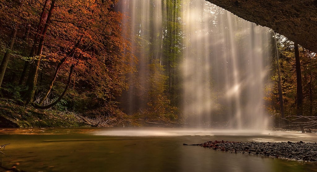 Discover how ecotherapy — the healing practice of connecting with nature — can reduce stress, anxiet