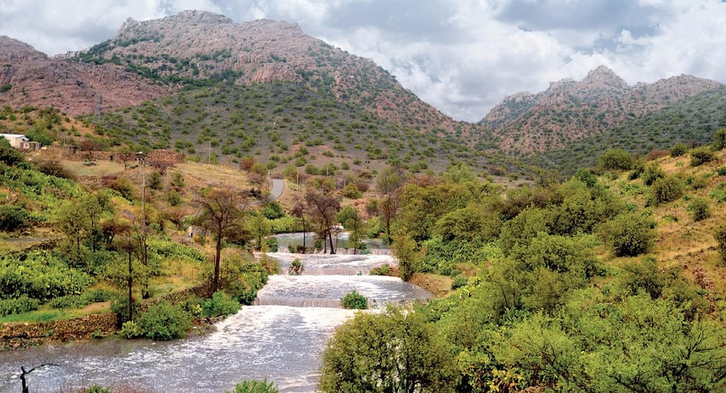 saysaad