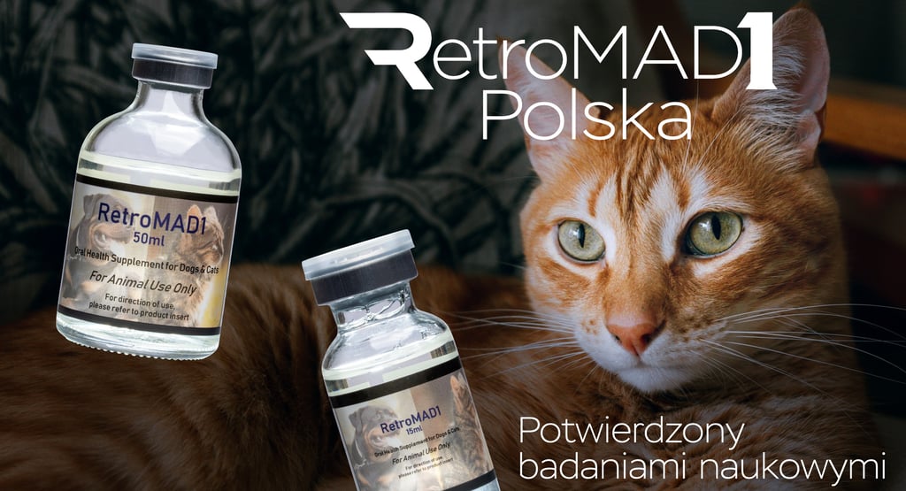 retromad-1-kupic-buy-polska-wirusy