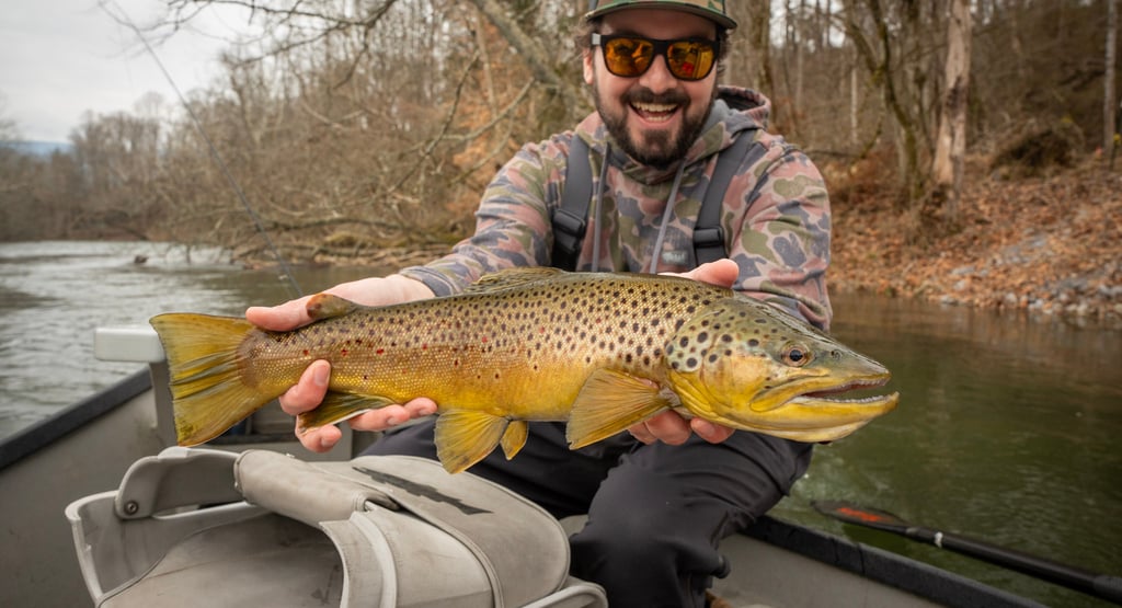 Big Brown Trout Streamer Fishing South Holston River