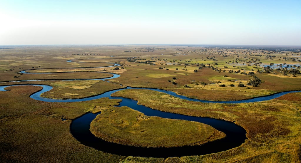 safaris au Botswana
