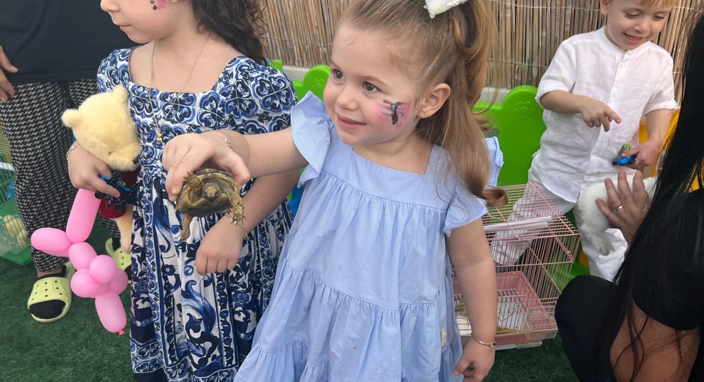 peting zoo sharjah, small animals pet zoo, pet zoo for birthday party