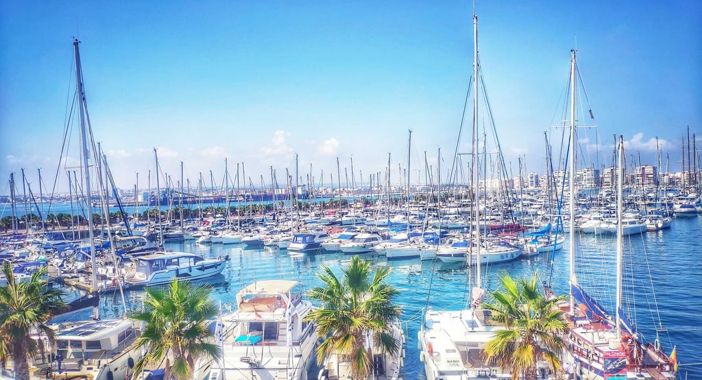 Marina Salinas Torrevieja