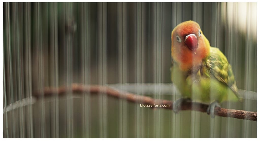 hello there…