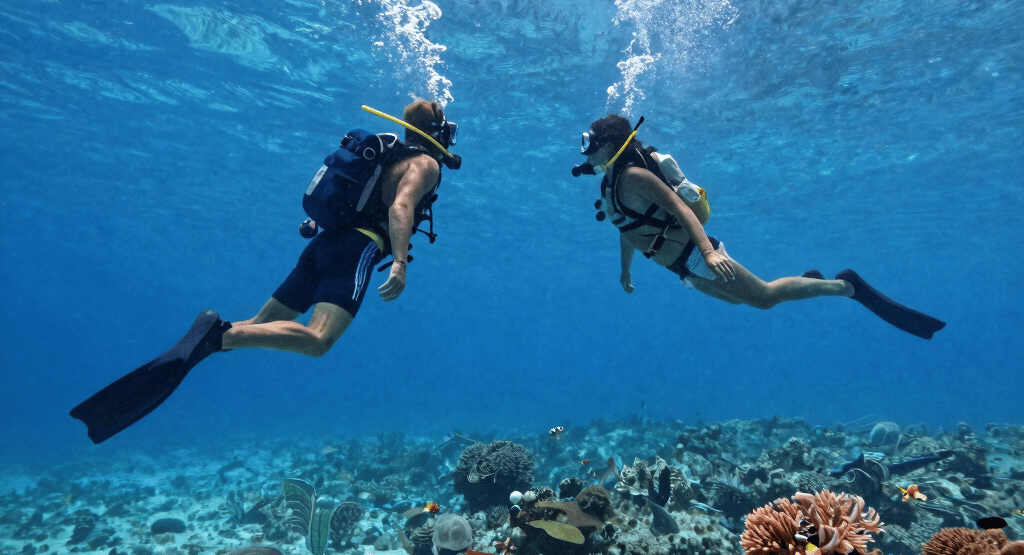 Two scuba divers exploring a vibrant coral reef with tropical fish in the Red Sea.
