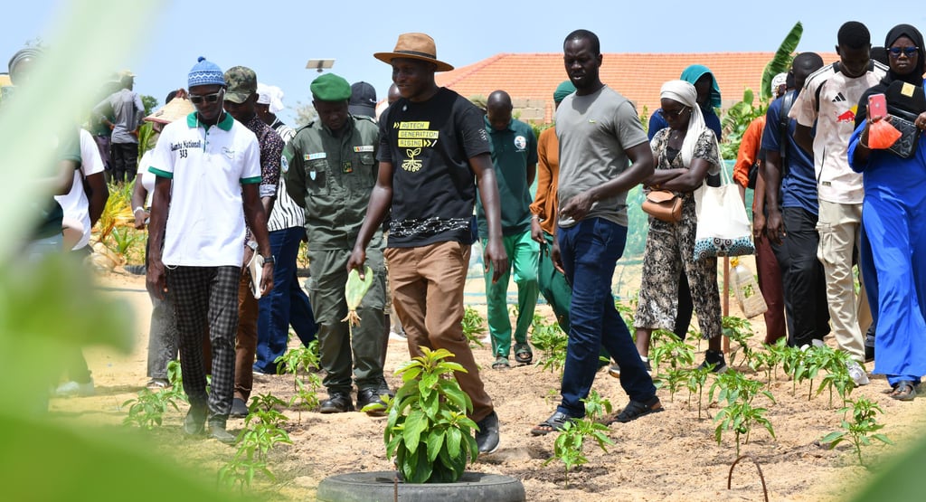 Équipe en formation. Groupe de personnes en formation et visite guidée sur les techniques agricoles
