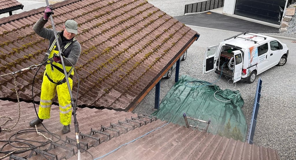 Takvask som fjerner mose og alger.