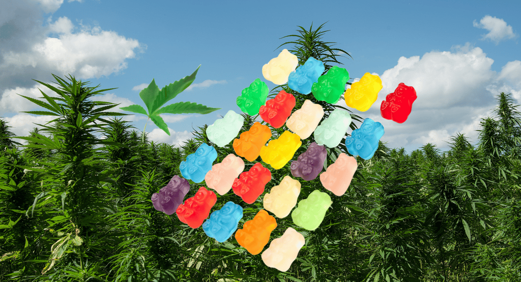 a colorfully colored paper cutout of gummy gummy gummy gummy