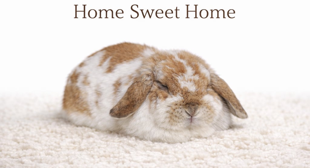 Hot Cross Buns Pumpkin Roll muffining on a cozy rug