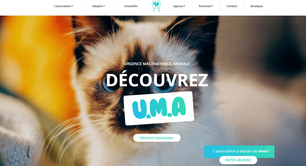 Page d’accueil de l’association Urgence Maltraitance Animale (UMA) avec un chat aux yeux bleus 
