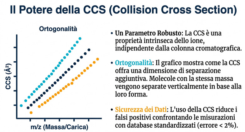 IMS: Il Potere della CCS (Collision Cross Section)