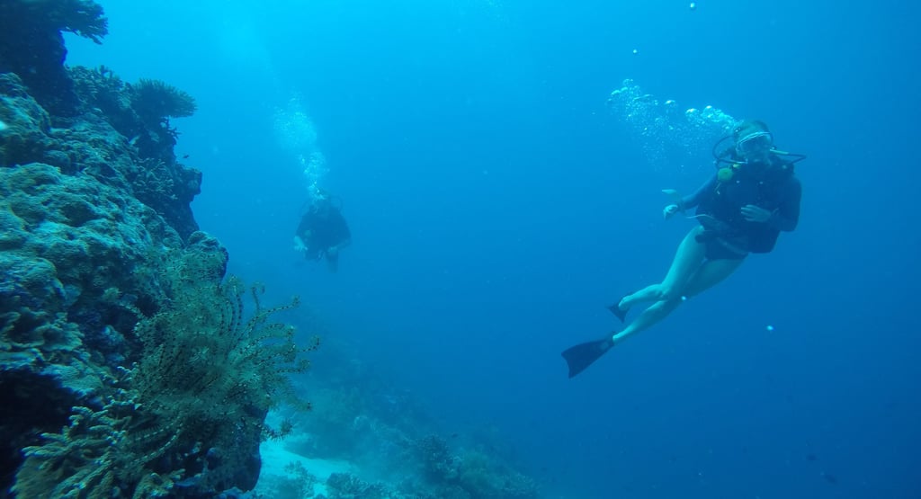 night dive Lovina reef #AdvancedArabicDive #SunriseBali