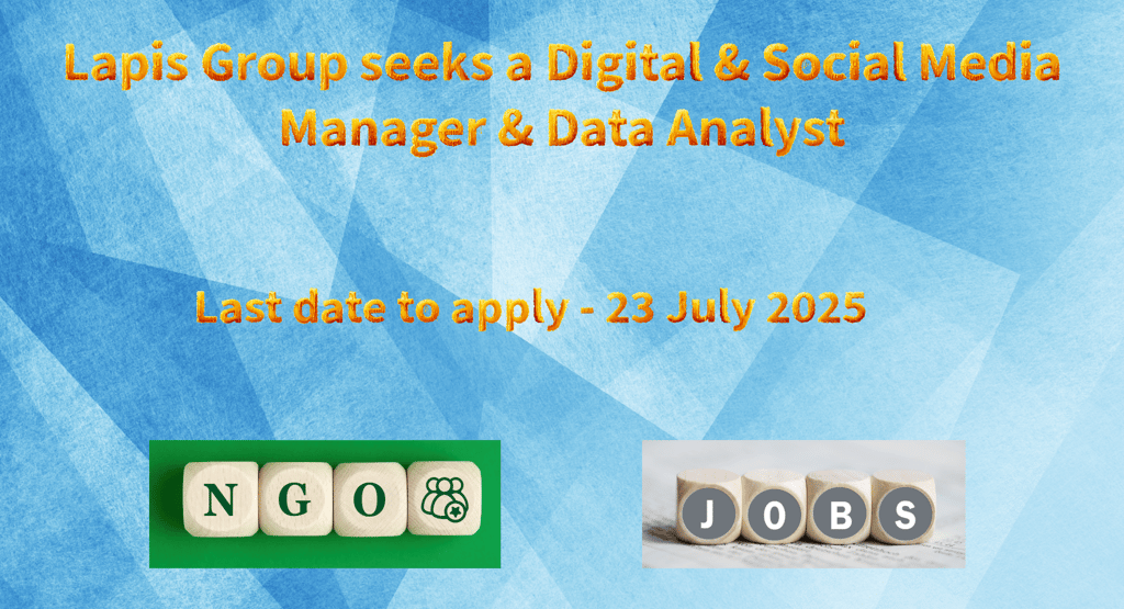 Lapis Group seeks a Digital & Social Media Manager & Data Analyst