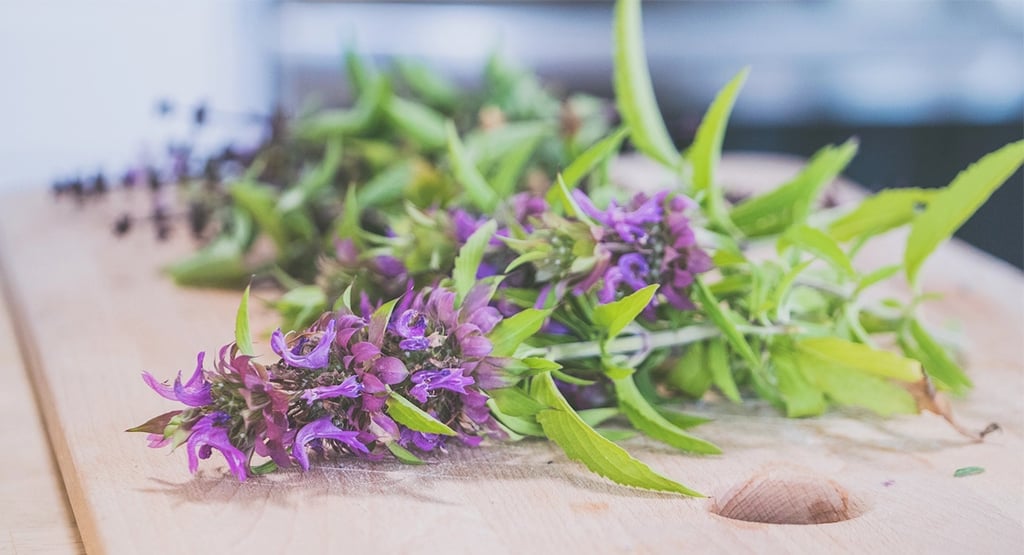 Ramas de Tulsi, para infusión que reduzca el cortisol