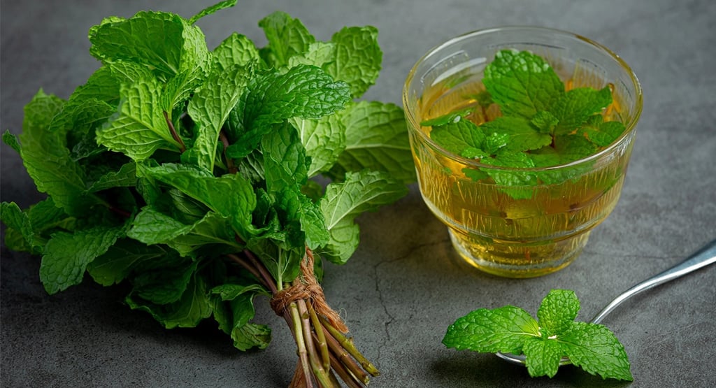 Toronjil con infusión, ideal para regular el cortisol