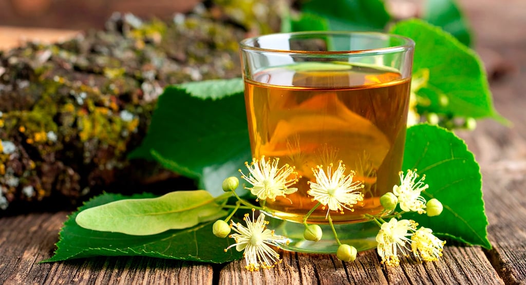 Té de tila, con flores y hojas