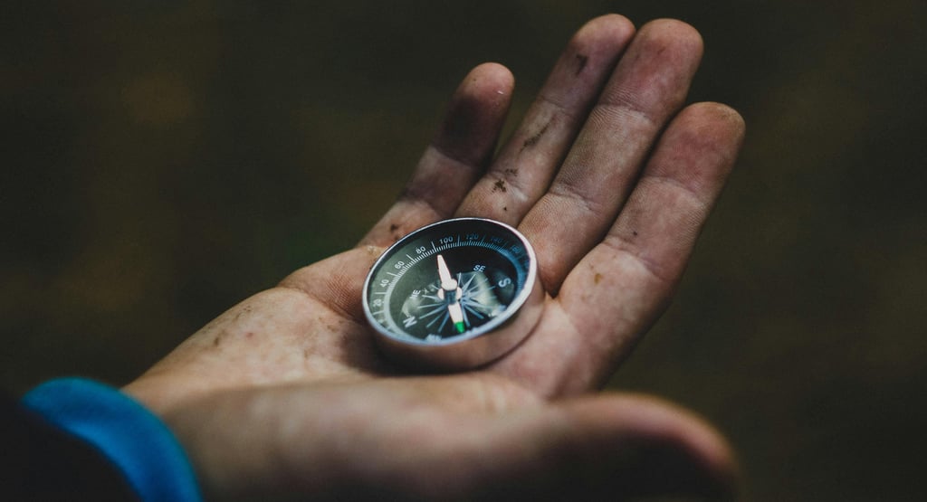 Hand holding compass in forest for basic land navigation in survival situations