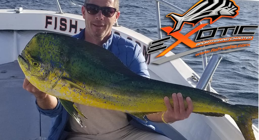 a man holding a fish fish on a boat