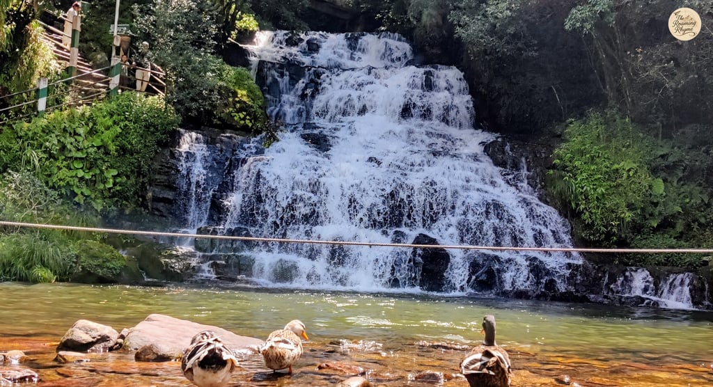 Third and final fall of Elephant Falls - the echoing heart of the forest of Meghalaya