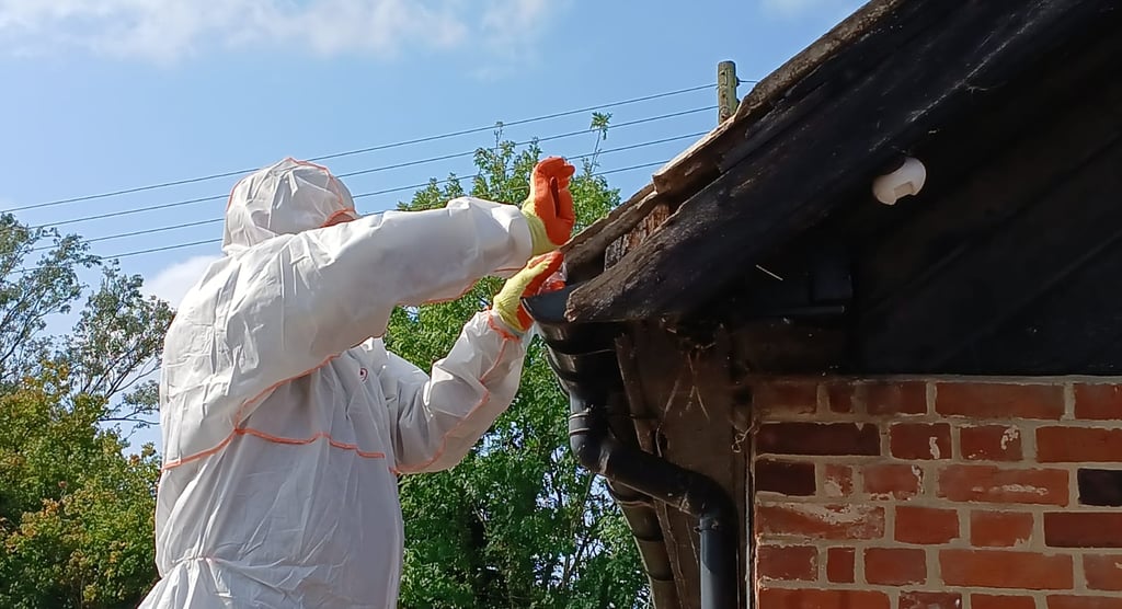 asbestos removal essex - best environmental solutions