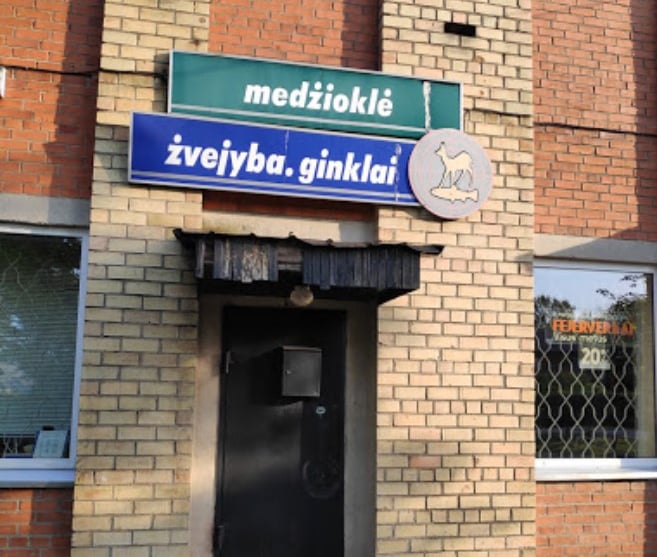 naktižibis Mažeikiai