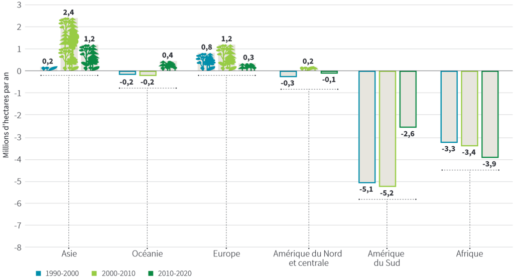 Graphique de l'évolution de la surface de forêt sur chaque continent depuis 1990