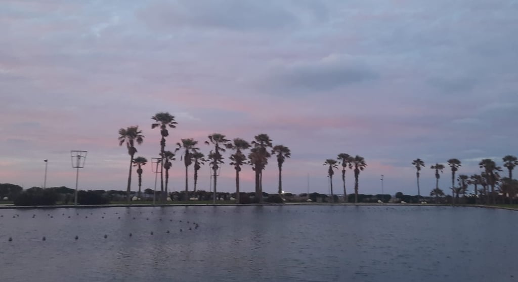 morocco casablanca a body of water with palm trees in the background