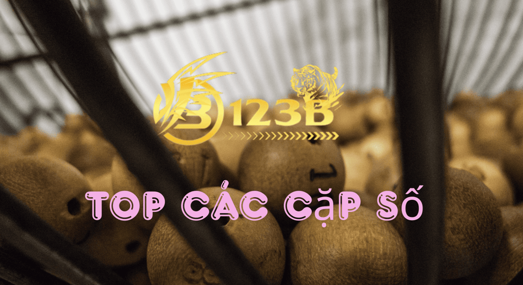 top-cap-so-123b