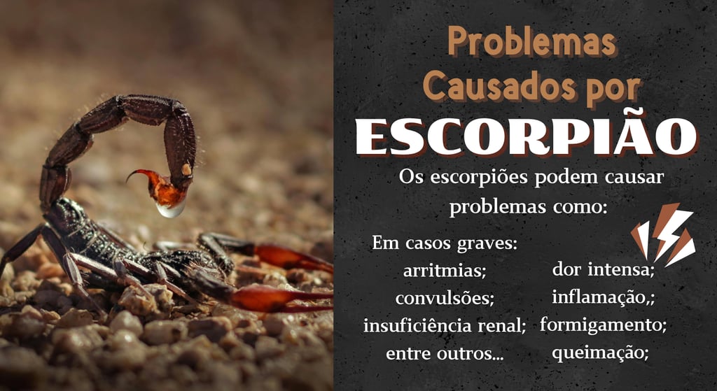 controle de pragas contra escorpiões