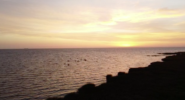 amanecer río de la plata stand up paddle remada 