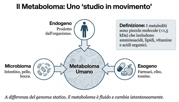 Il Metaboloma componenti