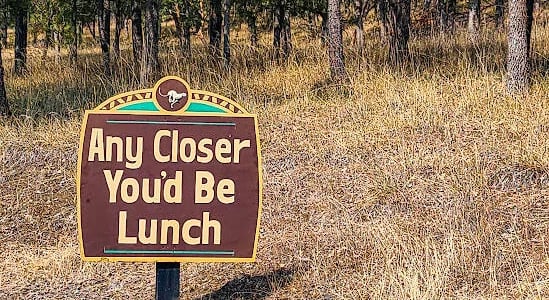 Roseburg, OR Travel - Sign at entrance to Wildlife Safari: Any Closer and You'd be Lunch
