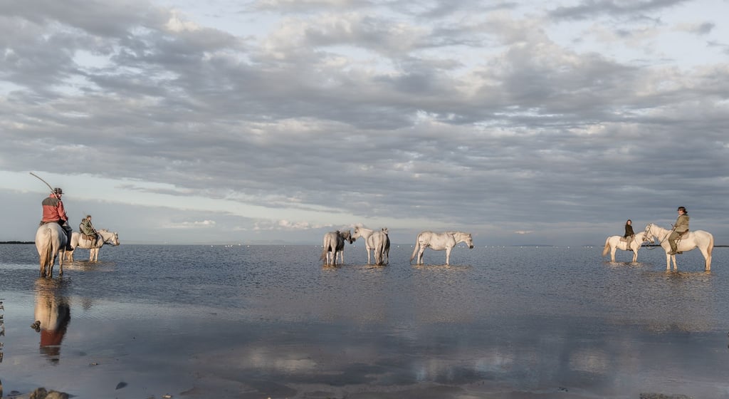 ethereal horse movement fine art photography Laura Mommicchi