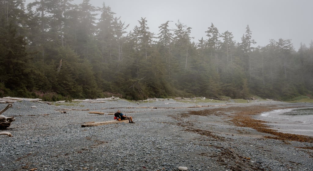 a person sitting on a log in the middle of a beach